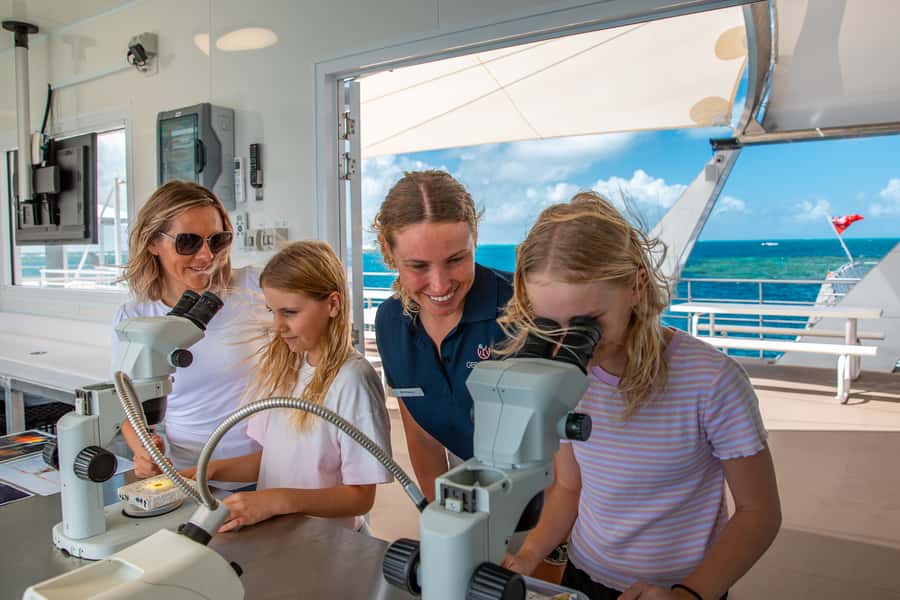 Cairns: Great Barrier Reef Pontoon with Water Activities - Price and value: is $222 fair for this kind of reef day?