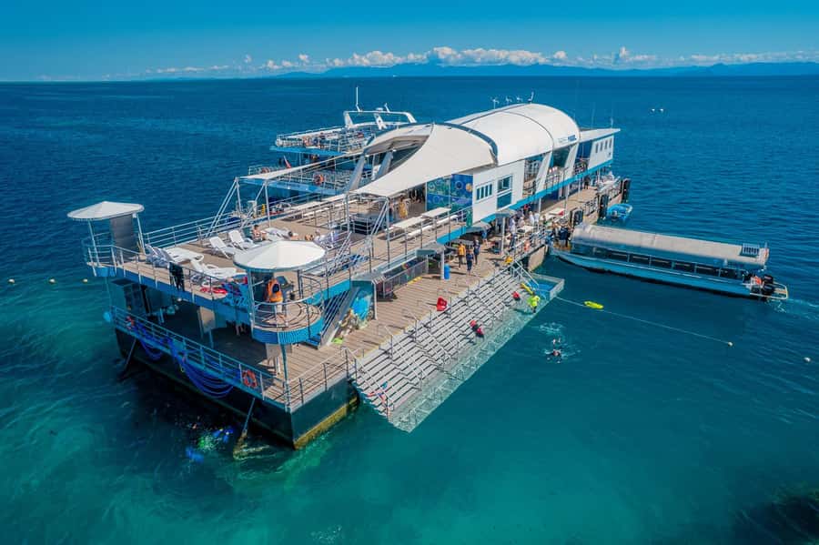Cairns: Great Barrier Reef Pontoon with Water Activities - Snorkeling in the coral lagoon: fun, but manage expectations