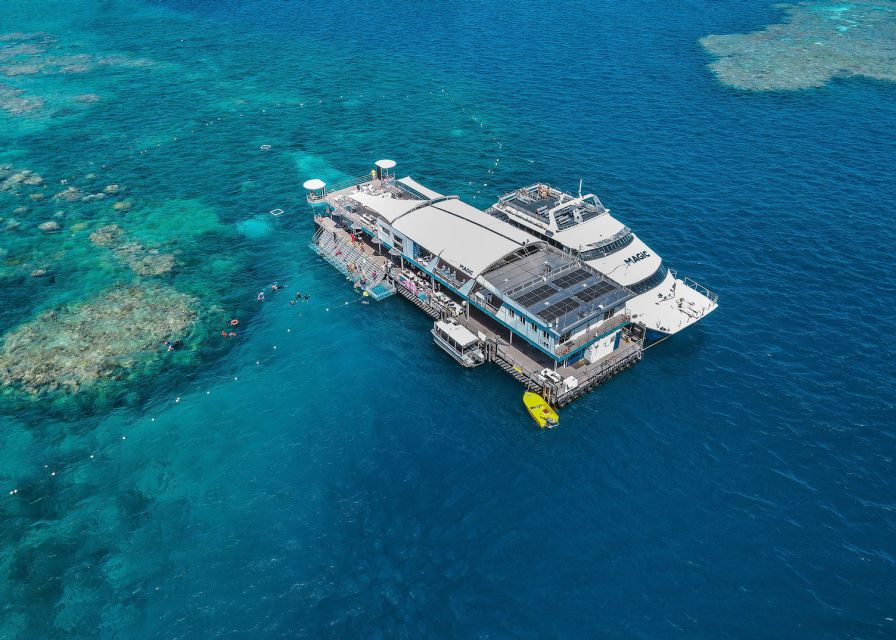Cairns: Great Barrier Reef Pontoon with Water Activities - Marine biologist science lab, fish feeding, and Wally the Maori wrasse