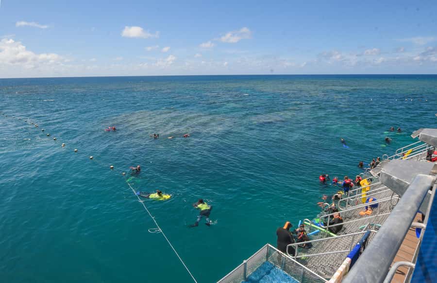 Cairns: Great Barrier Reef Pontoon with Water Activities - Lunch buffet and tea breaks: where the day refuels
