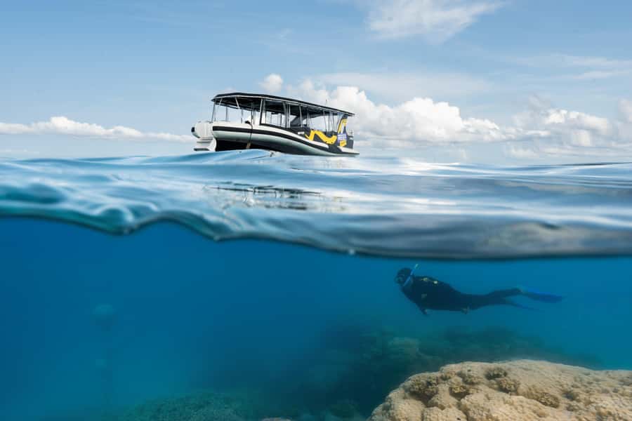 Cairns: Great Barrier Reef Small Group Snorkelling Tour - Key things I’d zero in on