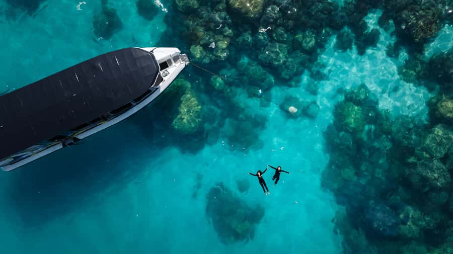 Cairns: Great Barrier Reef Small Group Snorkelling Tour - Getting from Cairns to the Reef: the “fast boat” plan