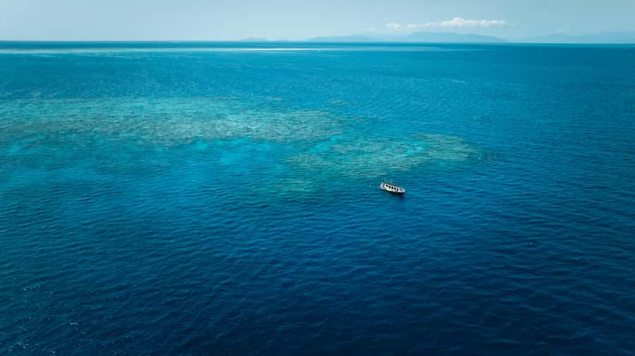 Cairns: Great Barrier Reef Snorkel and Scenic Flight - Who this tour suits best (and who should skip it)