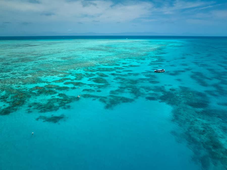 Cairns: Great Barrier Reef Snorkel and Scenic Flight - Timing in Cairns: why the early meet time is part of the deal