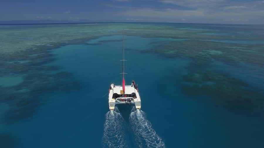 Cairns: Great Barrier Reef Snorkeling Tour with Lunch - Key highlights that make this trip worth your time