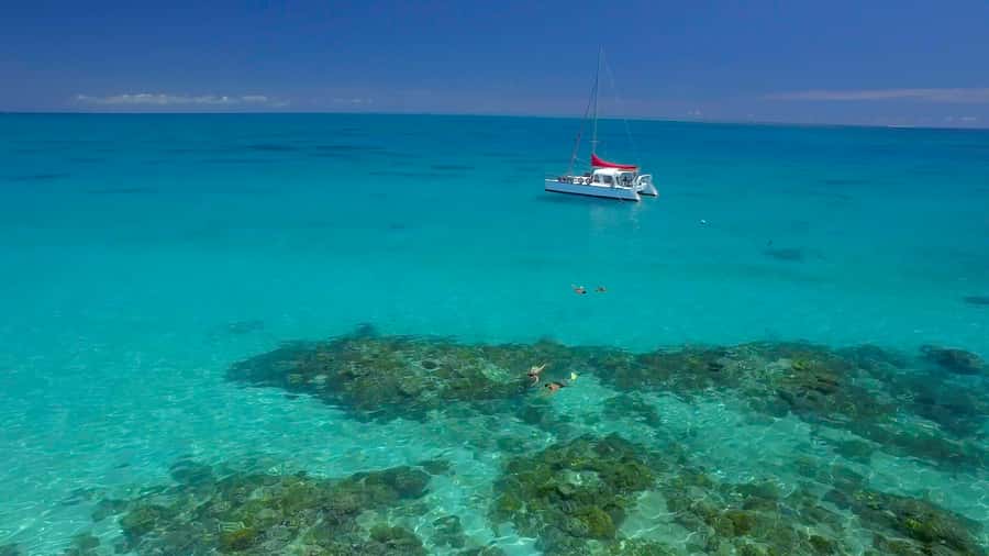 Cairns: Great Barrier Reef Snorkeling Tour with Lunch - Upolu Reef from Cairns: the core idea of this 9-hour snorkeling day