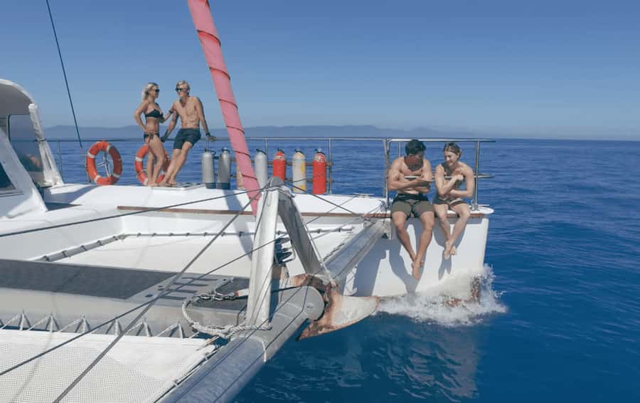 Cairns: Great Barrier Reef Snorkeling Tour with Lunch - Getting to Reef Daytripper at Cairns Marlin Marina D-Finger