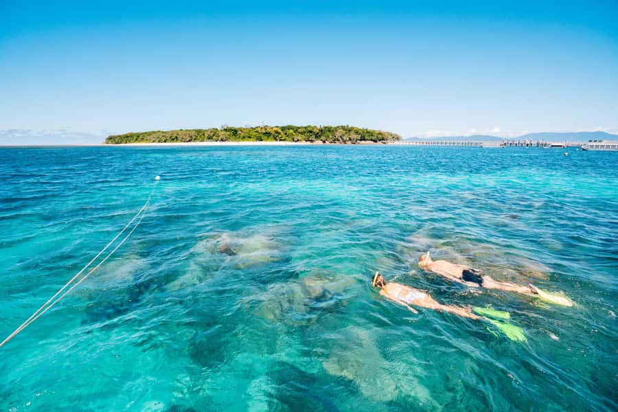 Cairns: Green Island and Seawalker Helmet Dive Combo - Key points to know before you go