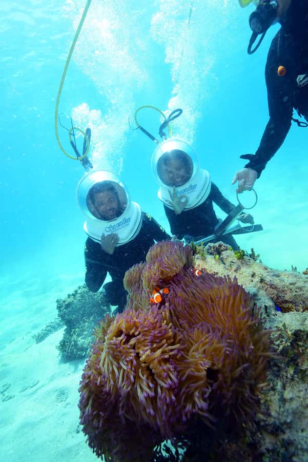 Cairns: Green Island and Seawalker Helmet Dive Combo - Reef viewing without the stress: glass-bottom boat and beach snorkeling