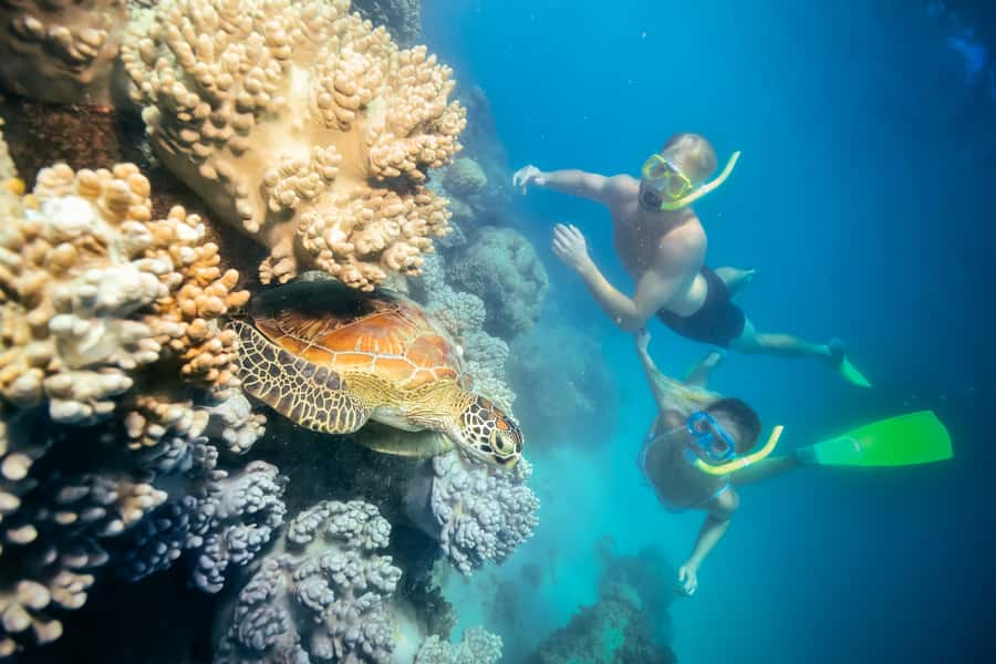 Cairns: Green Island and Seawalker Helmet Dive Combo - What’s included with the $196 price: value depends on your priorities