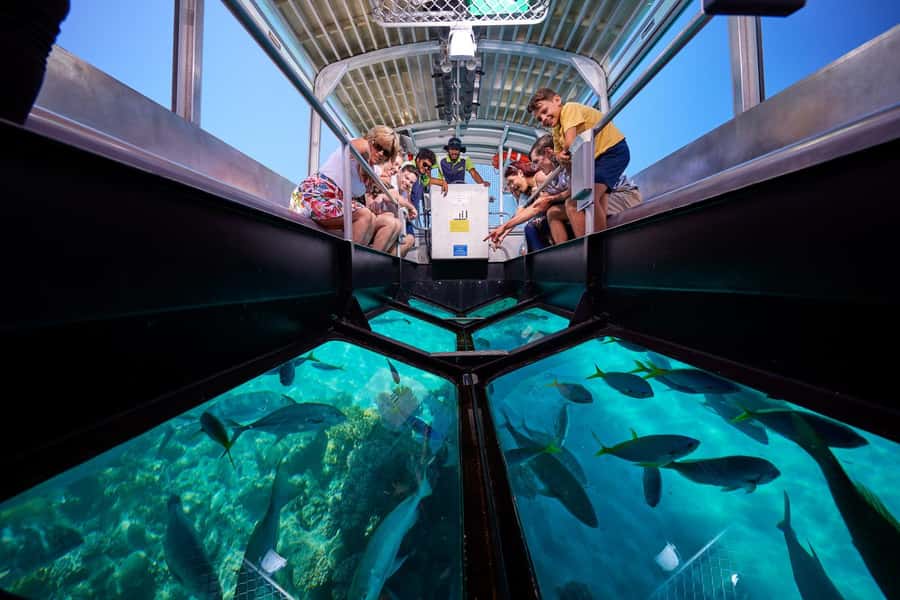 Cairns: Green Island Full-Day Tour with Diving - Key highlights at a glance