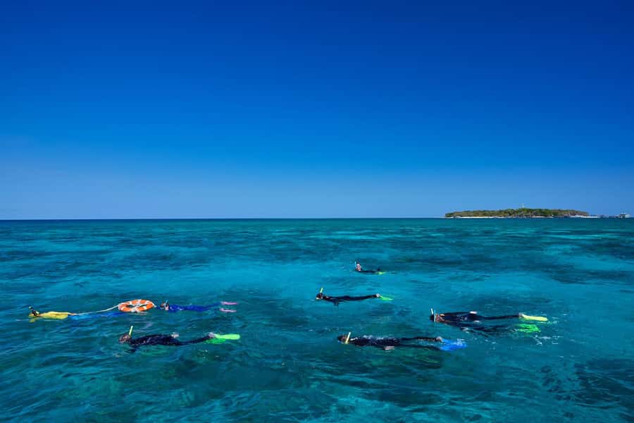 Cairns: Green Island Full-Day Tour with Diving - Choosing your reef experience: snorkel, scuba, or a reef-viewing boat