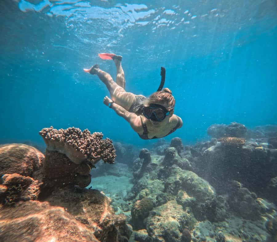 Cairns: Green Island Full-Day Tour with Diving - Snorkeling rules that protect the reef and improve your photos