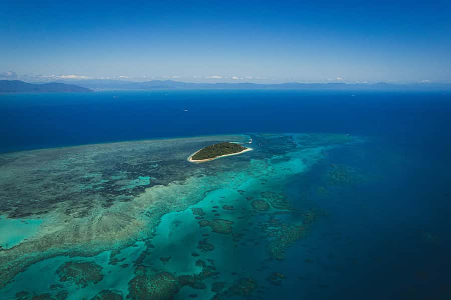 Cairns: Green Island Full-Day Tour with Diving - What to bring for comfort (and better photos)