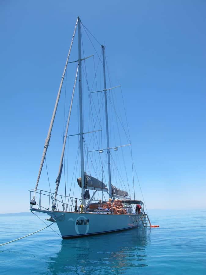 Cairns: Green Island & Great Barrier Reef Sailing Tour - Exclusive Great Barrier Reef Snorkeling: Straight Off the Boat