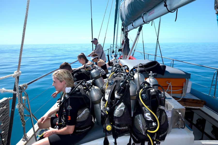 Cairns: Green Island & Great Barrier Reef Sailing Tour - Optional Scuba Sessions Without the Pressure