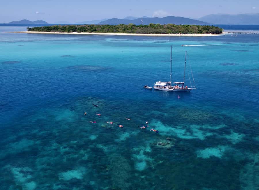 Cairns: Green Island & Great Barrier Reef Sailing Tour - Afternoon Reef Time: Keeping the Day Balanced