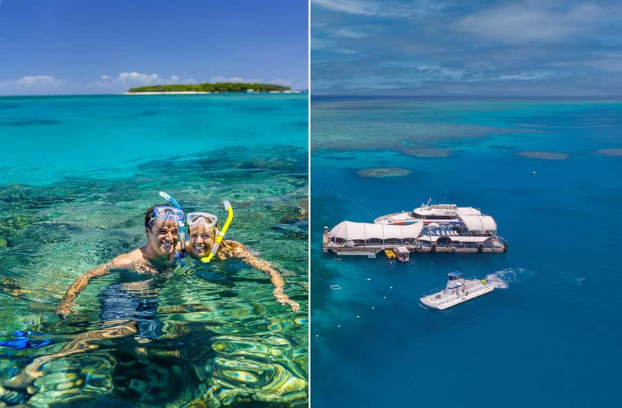 Cairns: Green Island + Moore Reef Activity Platform Combo - Key Things I’d Focus On
