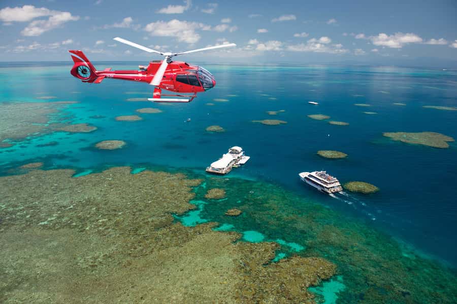 Cairns: Green Island + Moore Reef Activity Platform Combo - Outer Reef at Moore Reef: The Platform Base for Reef Viewing