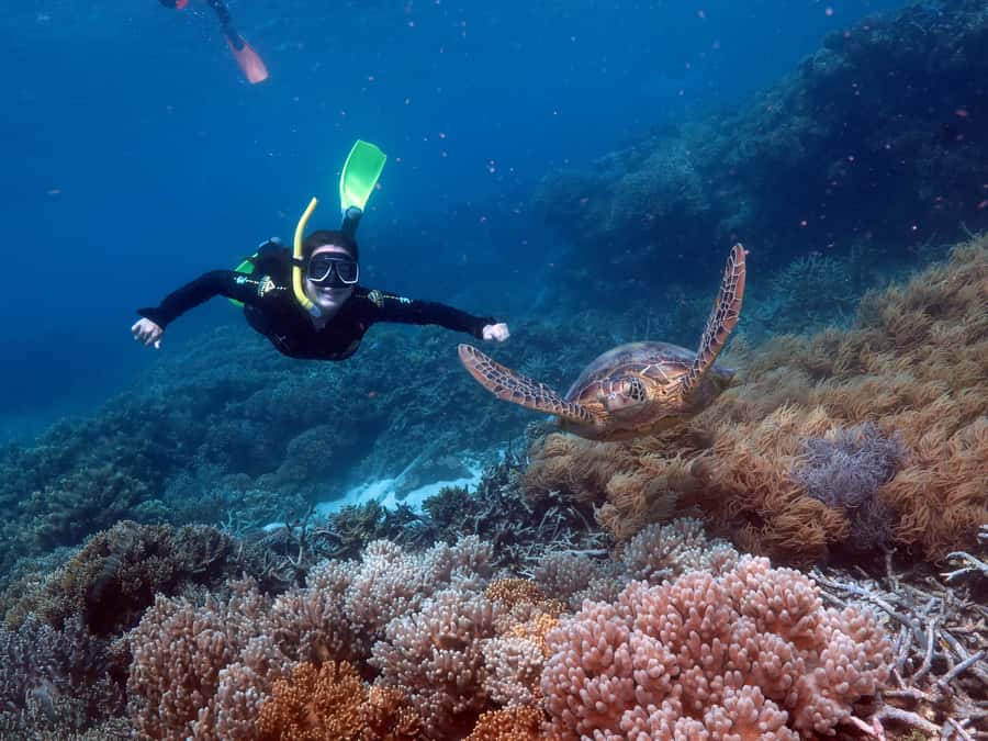 Cairns: Green Island + Moore Reef Activity Platform Combo - Semi-Submarine and Underwater Observatory: How You See the Reef Without Jumping In