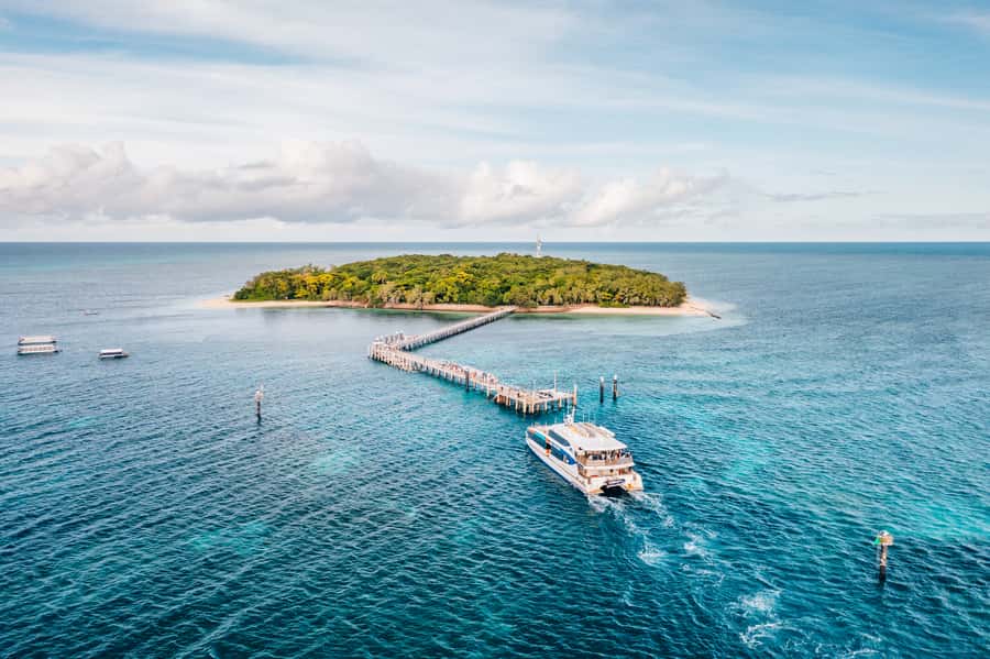 Cairns: Green Island, Snorkelling and Glass-Bottom Boat - Green Island eco-walk: rainforest time that keeps the day balanced