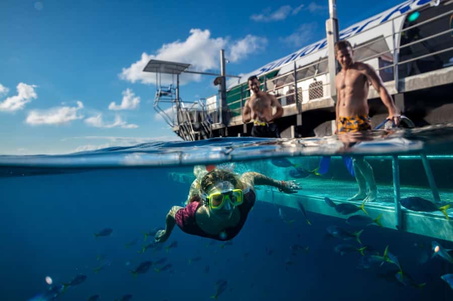 Cairns: Half Day Helicopter & Snorkeling Tour - Life on the Moore Reef pontoon: snorkeling, waterslide, and lots of reef viewing