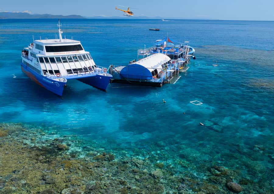 Cairns: Half Day Helicopter & Snorkeling Tour - The two helicopter options: how to choose the right rhythm