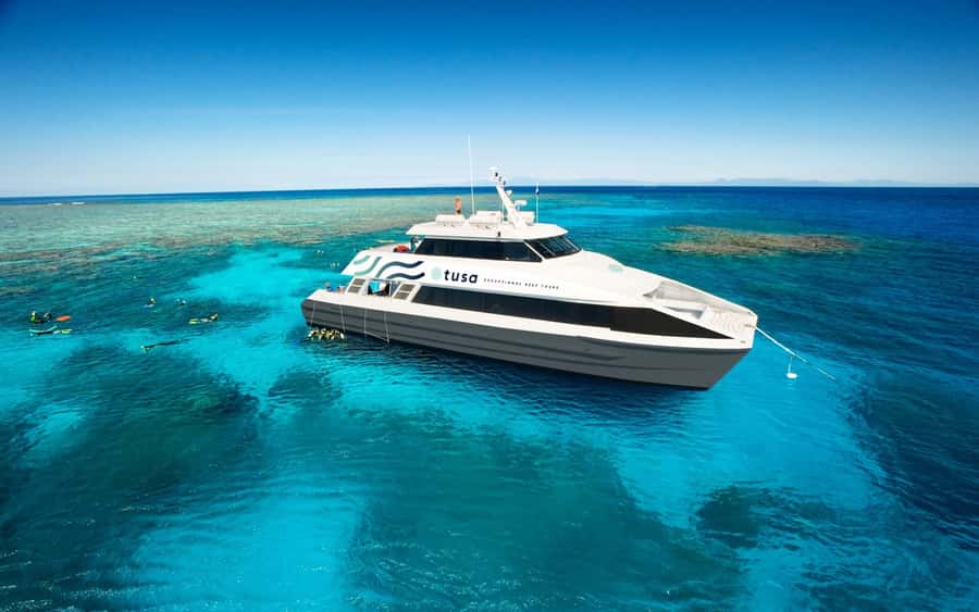 Cairns: Half-Day Outer Reef Snorkel Tour - From Cairns Marlin Marina to the Outer Reef in about 5 hours