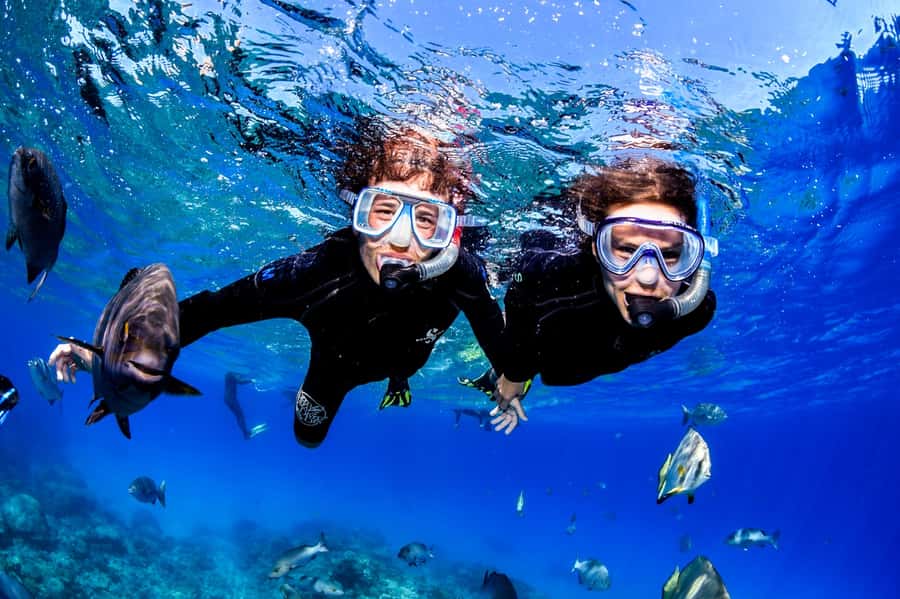 Cairns: Half-Day Outer Reef Snorkel Tour - Optional intro scuba: if it’s on your list, plan it early