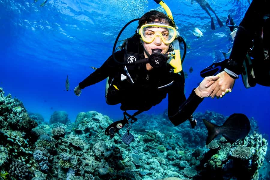 Cairns: Half-Day Outer Reef Snorkel Tour - Photos and onboard extras: how to avoid surprise costs