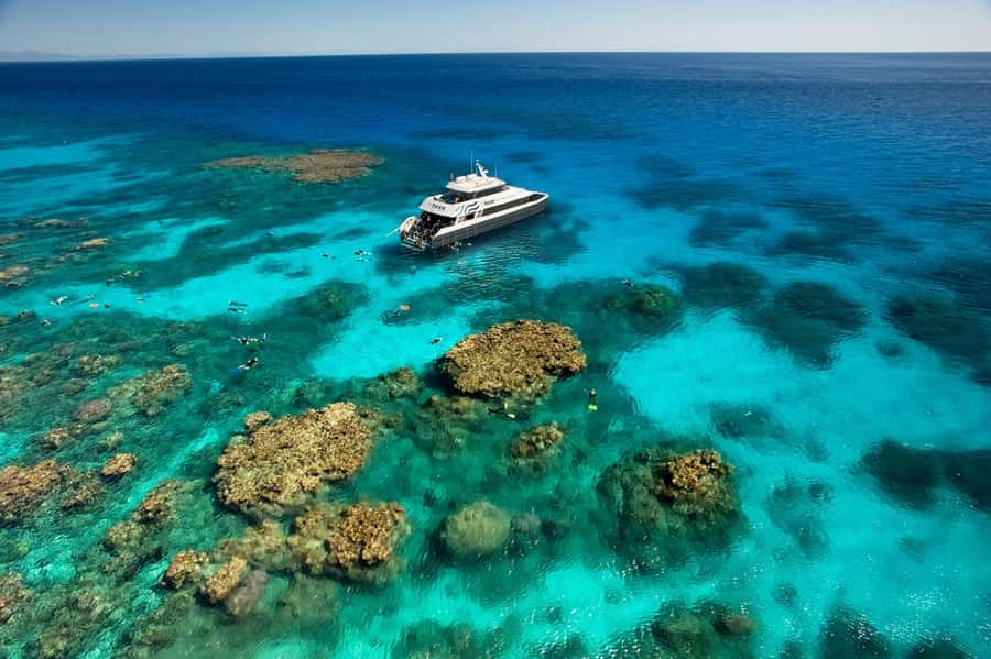 Cairns: Half-Day Outer Reef Snorkel Tour - Who should book this tour, and who should skip it