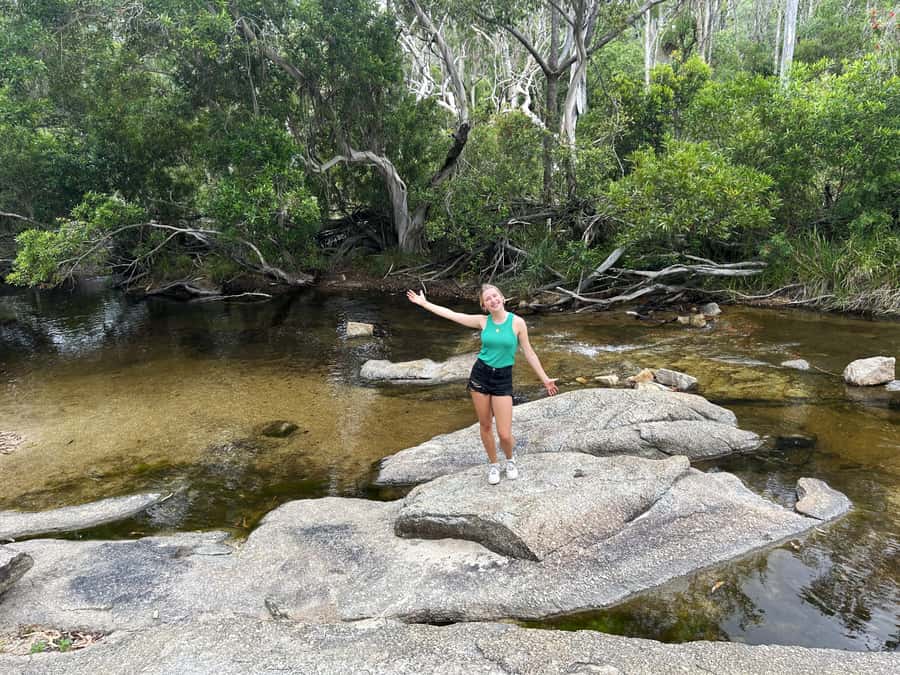 Cairns: Half-Day Premium 4WD Rainforest & Waterfall Tour - Key highlights in plain terms
