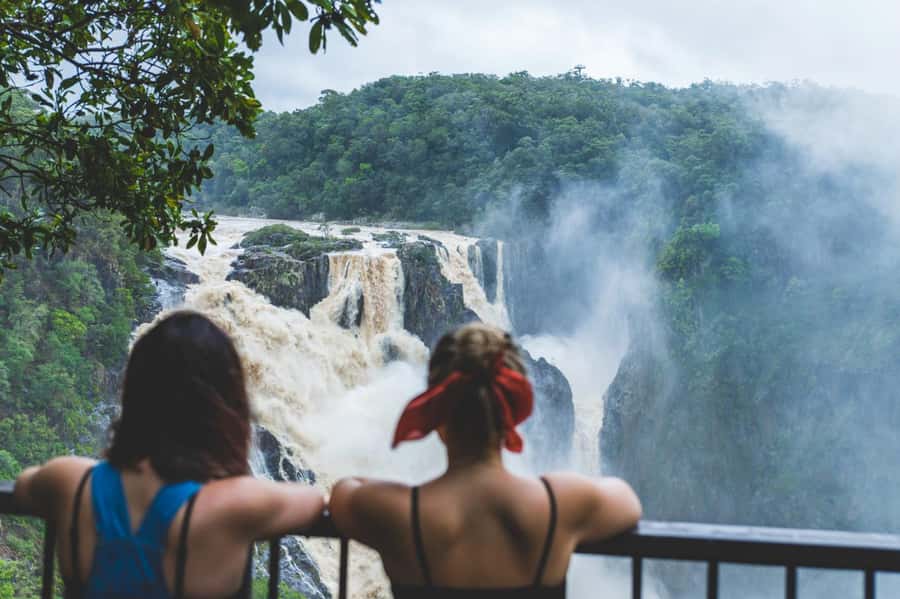 Cairns: Half-Day Premium 4WD Rainforest & Waterfall Tour - Why this Cairns 4WD rainforest tour feels like the real thing