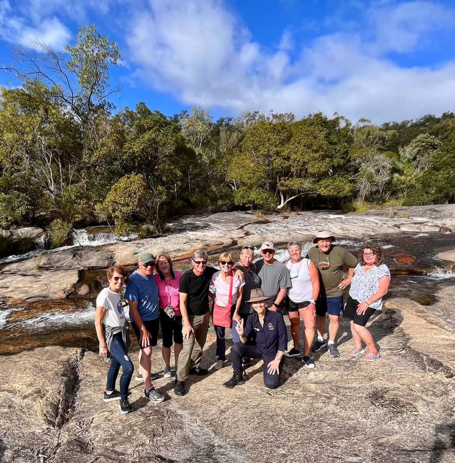 Cairns: Half-Day Premium 4WD Rainforest & Waterfall Tour - Termite mounds and open savannah moments: the ecosystem isn’t one-note