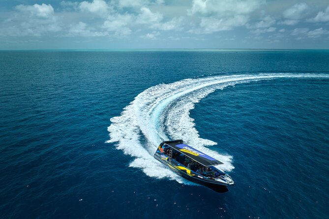 Cairns Half Day Tour a Great Barrier Reef Snorkeling Experience - Key things to know before you go