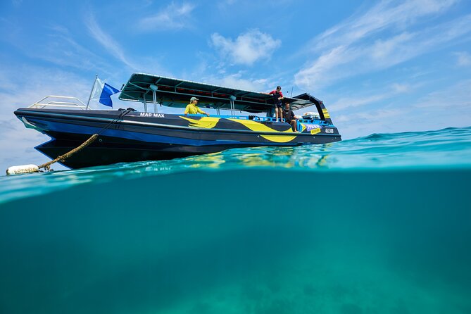 Cairns Half Day Tour a Great Barrier Reef Snorkeling Experience - Upolu Reef underwater: coral, fish, and guides who help you look