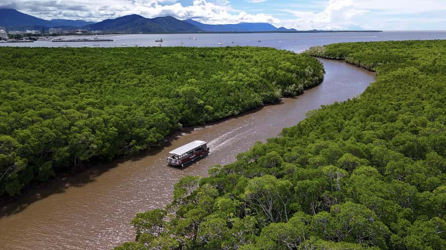 Cairns: Immersive Small Group Indigenous Cultural Experience - Trinity Inlet on the water: learning what you normally miss