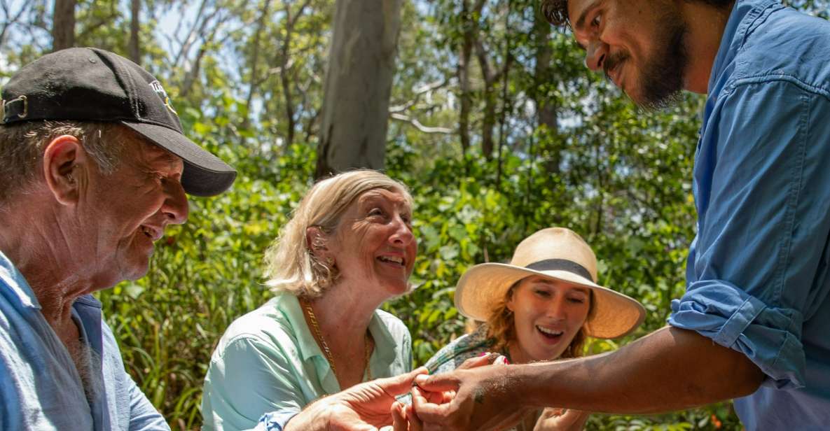Cairns: Immersive Small Group Indigenous Cultural Experience - Forest path walk: seasons, bush food, tools, and medicines