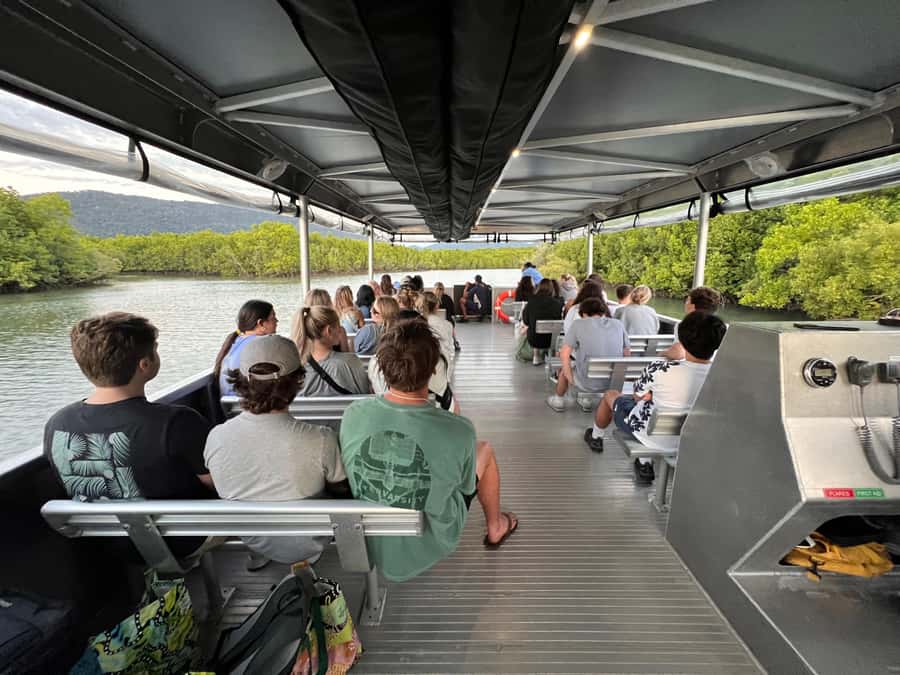 Cairns: Immersive Small Group Indigenous Cultural Experience - Price and logistics: what $105 buys you