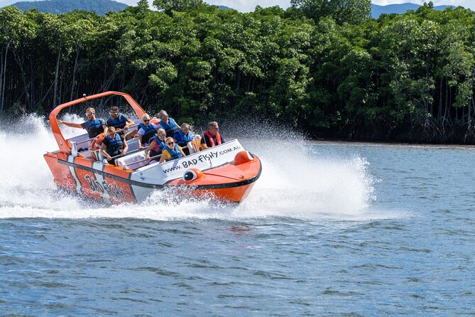 Cairns Jet Boat Ride - What You’ll Actually See: Cairns Views, Mangroves, and Wildlife Warnings