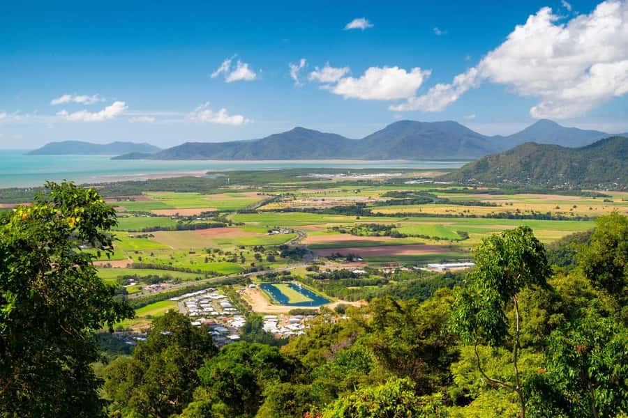 Cairns: Koalas and Creatures Entry Ticket - Price and Value: Is $14 Really Worth It?