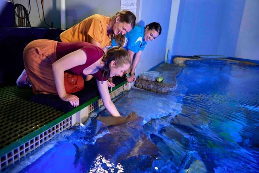 Cairns: Marine Life Encounter - Key highlights at a glance