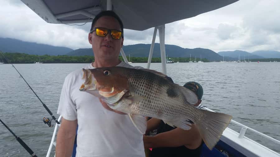 Cairns: Morning Estuary Fishing Charter - The Trinity Inlet State Marine Park: Snags, drop-offs, and real estuary structure
