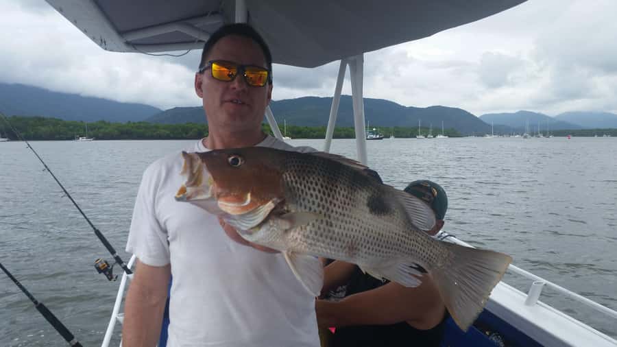 Cairns: Morning Estuary Fishing Charter - What you might catch: Barramundi odds and the estuary menu
