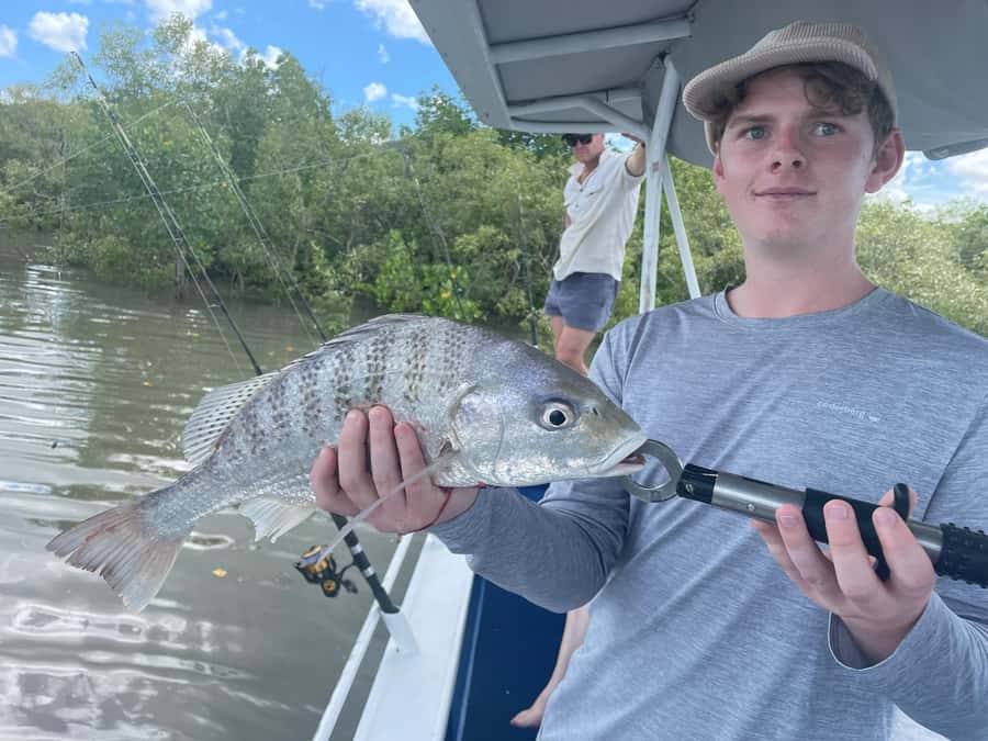 Cairns: Morning Estuary Fishing Charter - Gear and bait included: The smart part is you don’t have to shop