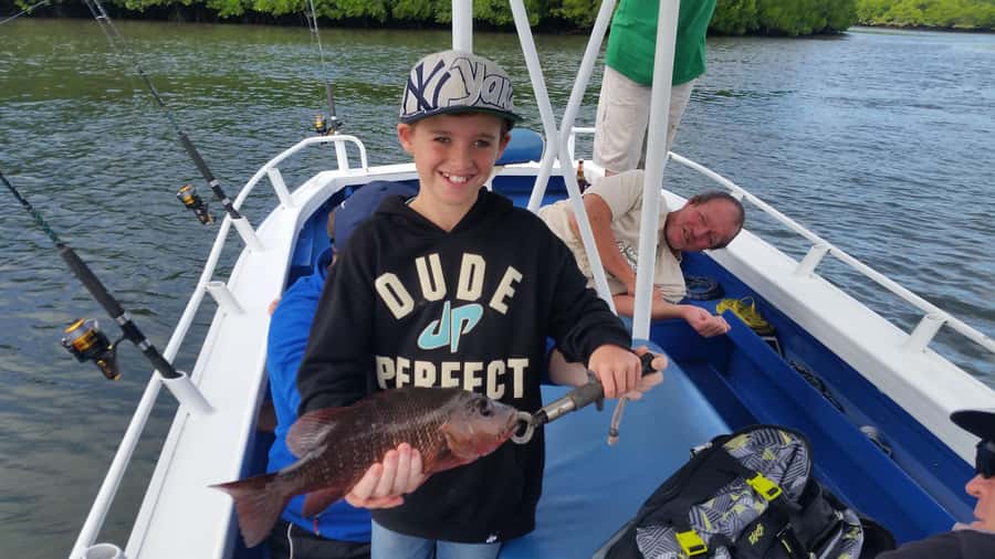 Cairns: Morning Estuary Fishing Charter - Price and value at $106 per person: What you’re really paying for