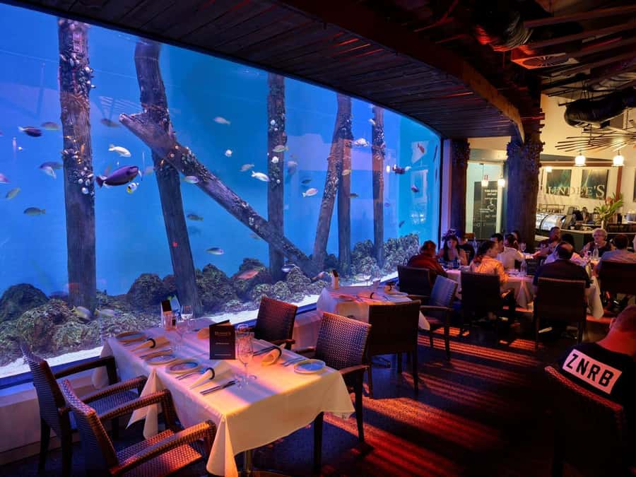 Cairns: Night at the Aquarium Guided Tour & 2 Course Dinner - The 10-ecosystem guided night walk: from river to Coral Sea