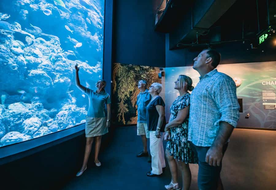 Cairns: Night at the Aquarium Guided Tour - Inside the 10-Ecosystem Night Walk at Cairns Aquarium