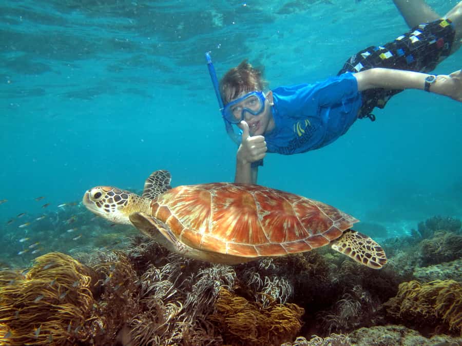 Cairns: Ocean Spirit Great Barrier Reef Full Day Tour - Reef viewing without getting wet: semi-submersible + glass-bottom