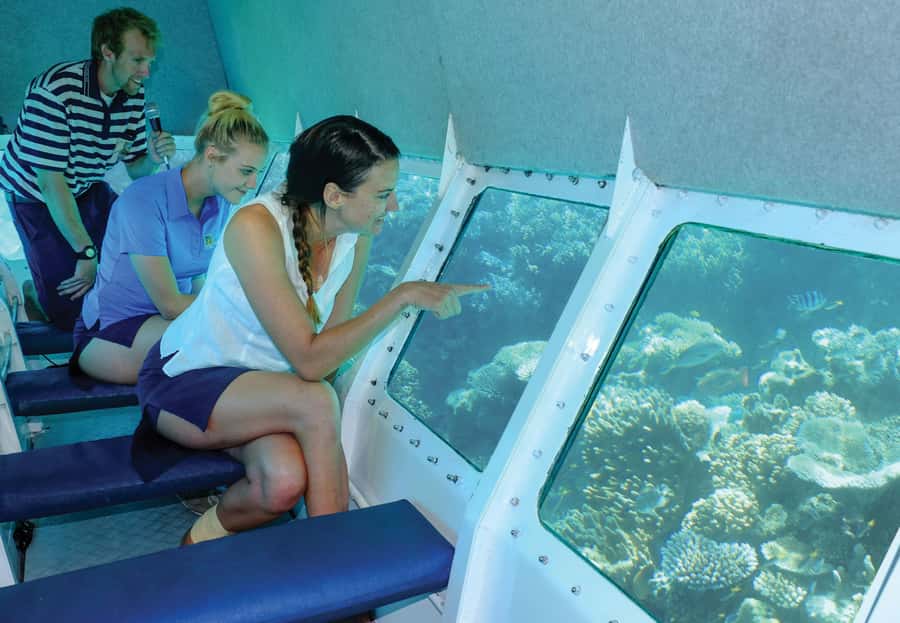 Cairns: Ocean Spirit Great Barrier Reef Full Day Tour - Timing on the day: how to plan your Cairns morning